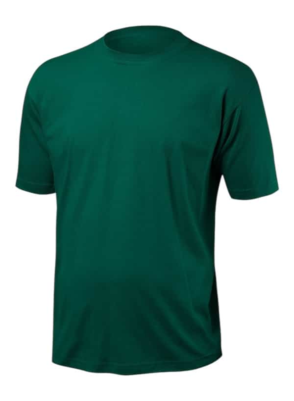 Polera verde