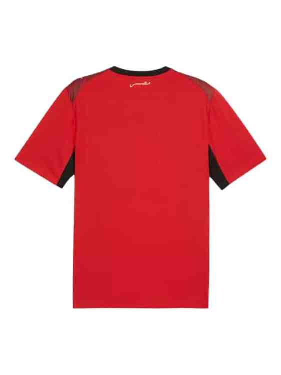 Camiseta Egipto Titular 2026/27 Puma (ID: 9053)