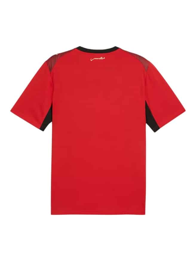 Camiseta Egipto Titular 2026/27 Puma (ID: 9053)