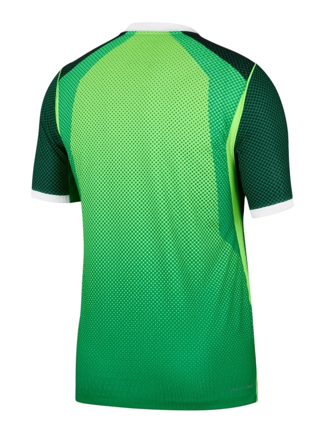 Camiseta Nigeria Titular 2026/27 Nike Versión Partido (ID: 9572)