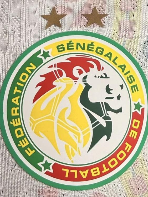 Camiseta Senegal Titular 2026/27 Puma -  Versión Partido (ID: 9922)