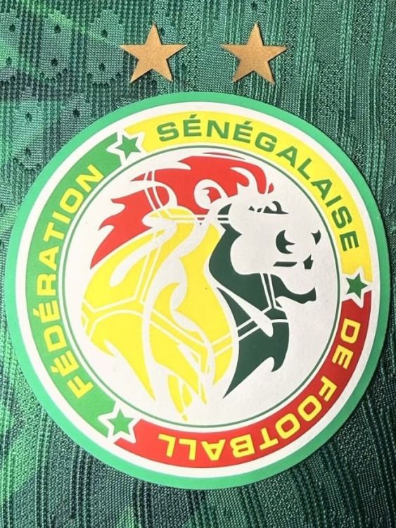 Camiseta Senegal Visitante 2026/27 Puma -  Versión Partido (ID: 9924)