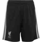 Short Liverpool Tercera 2026/27 Adidas (ID: 12913)